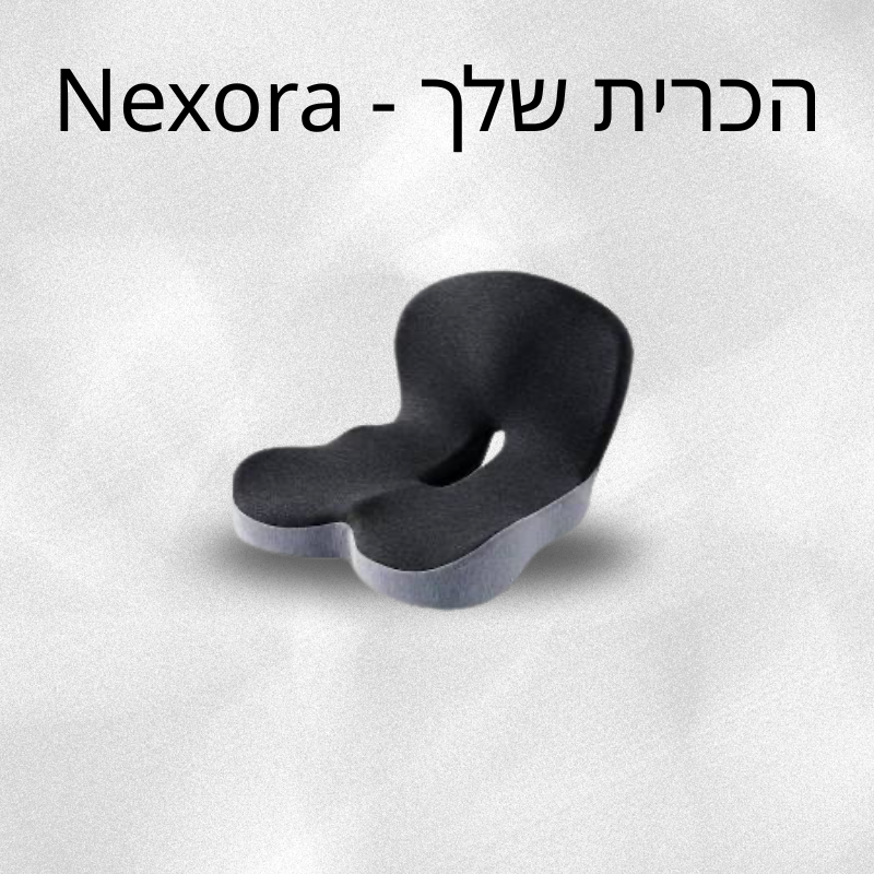 כרית ישיבה אורתופדית