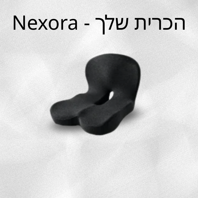 כרית ישיבה אורתופדית